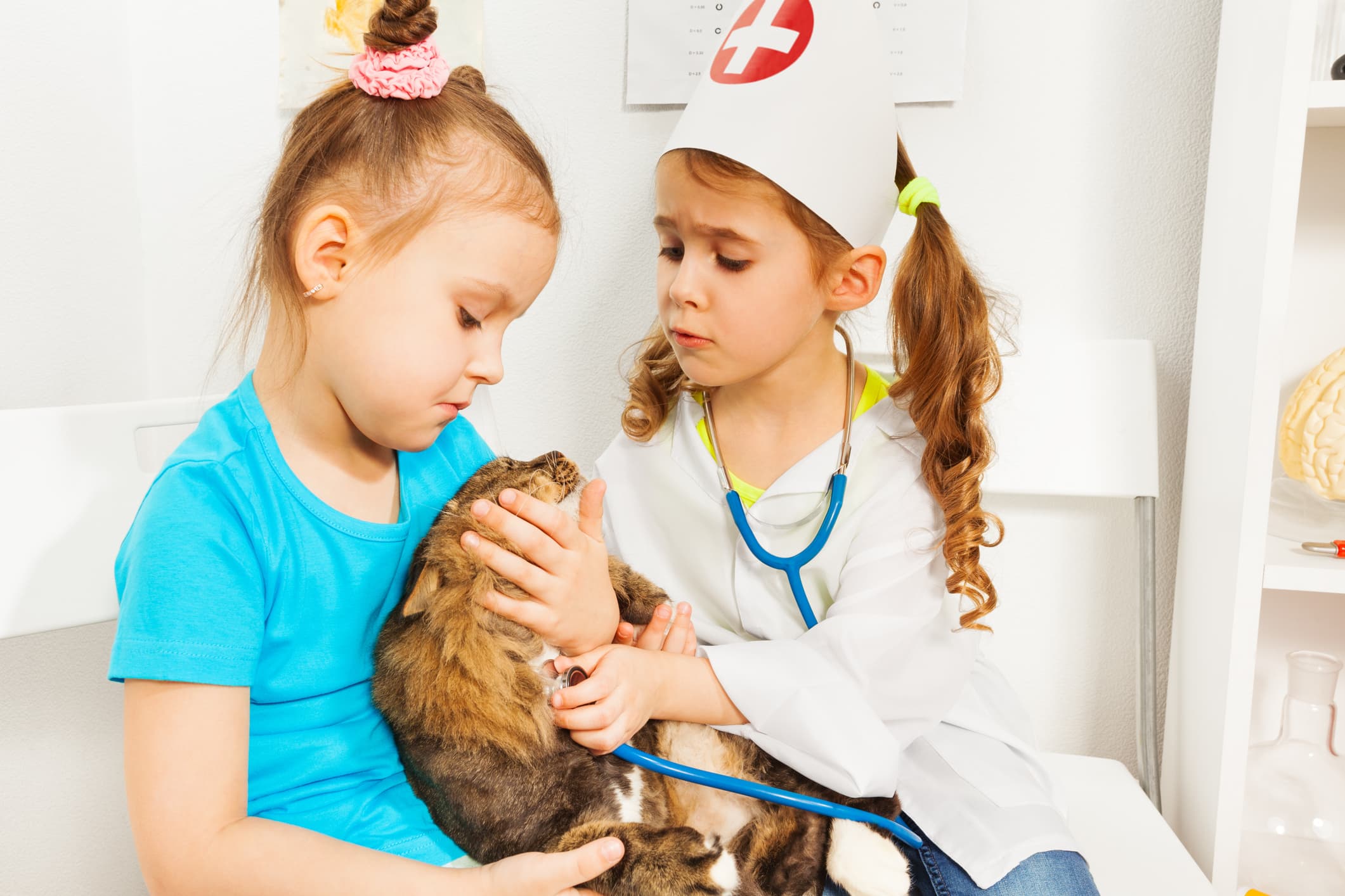 Vet Camp (Grades 1-2) June Session